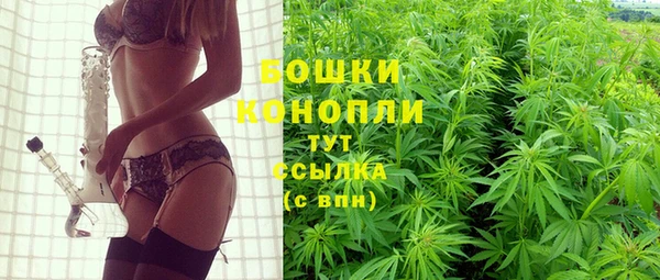 дживик Протвино