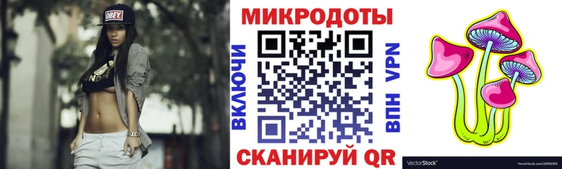 закладка Красавино Псилоцибиновые грибы MAGIC MUSHROOMS